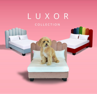 Luxor - The Human Quality Dog Bed By Hooman® . The Worlds Best Pet Beds